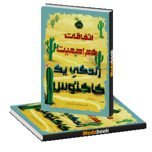 اتفاقات کم اهمیت زندگی یک کاکتوس پرتقال