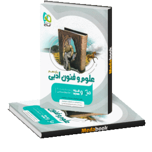 علوم و فنون ادبی یازدهم میکرو طبقه بندی گاج (کنکور 1402 و بعد)