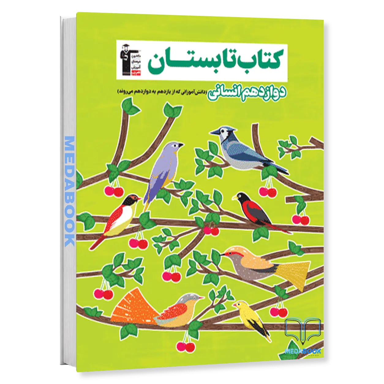 تابستان-دوازدهم-انسانی-قلم-چی.webp تابستان دوازدهم انسانی قلم چی - تصویر 1