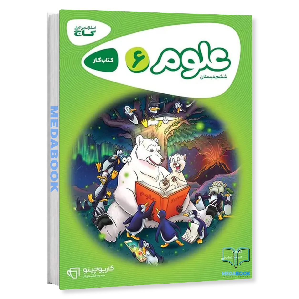 علوم-ششم-کارپوچینو-گاج-1.webp علوم ششم کارپوچینو گاج - تصویر 1